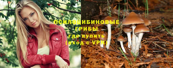 СК Баксан