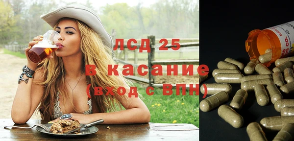 прущие грибы Балабаново